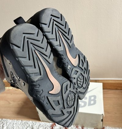 Nike Sb Darwin Low Supreme