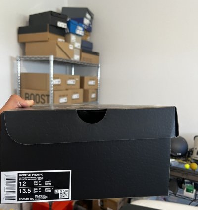 Kobe 8 Protro