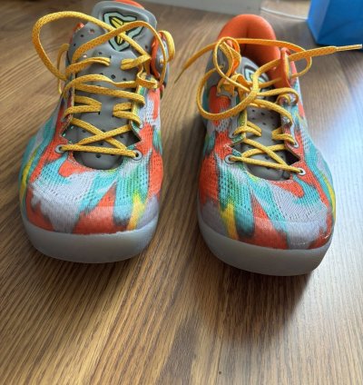 Kobe 8 Venice Beach