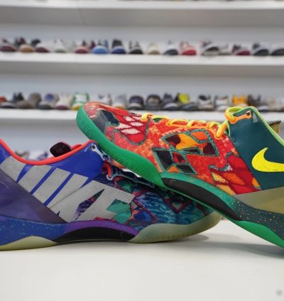 Nike Kobe 8 Protro What The