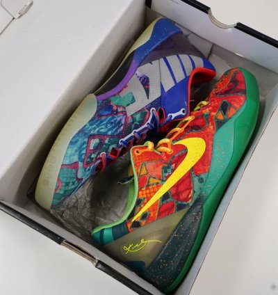 Nike Kobe 8 Protro What The