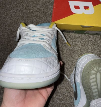 Nike Sb Dunk Low Ftc