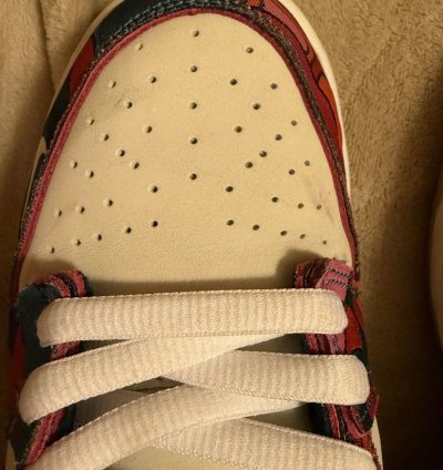 Nike Sb Dunk Low Pro Parra Abstract Art