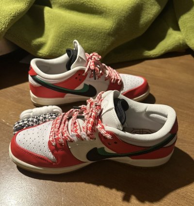 Nike Sb Habibi Dunks 11