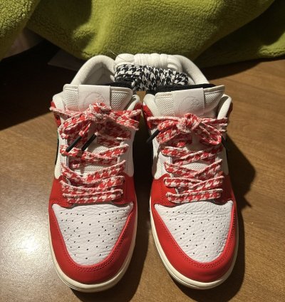 Nike Sb Habibi Dunks 11