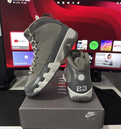 Air Jordan 9 Retro Cool Grey