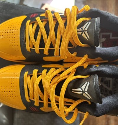 Kobe Protro