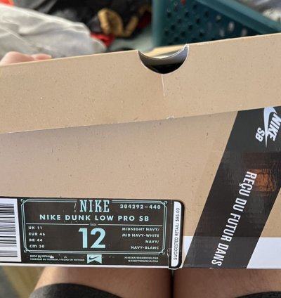 Nike Sb Pro Blueprint Size 12