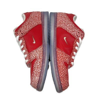Nike Sb Stingwater Dunk Low