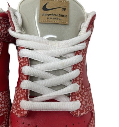 Nike Sb Stingwater Dunk Low