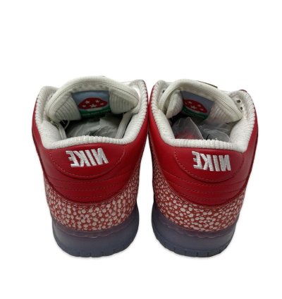 Nike Sb Stingwater Dunk Low