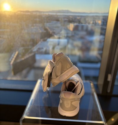 Kobe Vi Protro