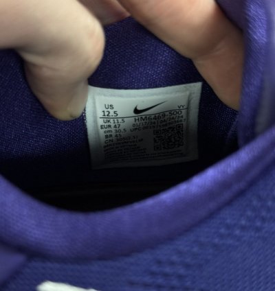 Kobe Viii 8 Protro Tb Purple Size 12 5 Hm6469-500 Pe