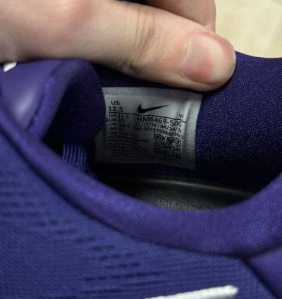 Kobe Viii 8 Protro Tb Purple Size 12 5 Hm6469-500 Pe