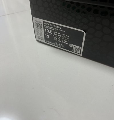 Kobe Viii Protro