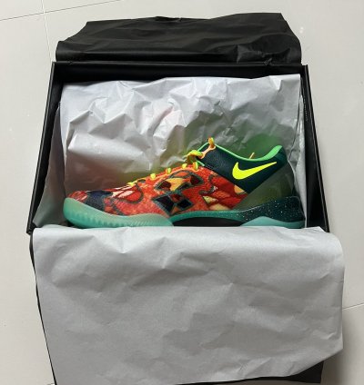 Kobe Viii Protro