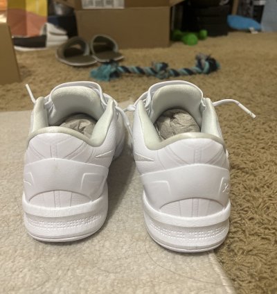 Kobe Viii Protro