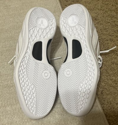 Kobe Viii Protro