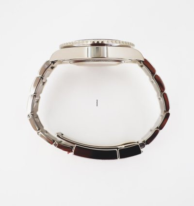 Rolex Gmt-master Ii 40mm White Gold Pepsi Oyster Bracelet 116719blro