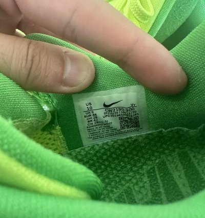 Nike Zoom Kobe 6 Protro Grinch 10 Mambacita Camo Reverse