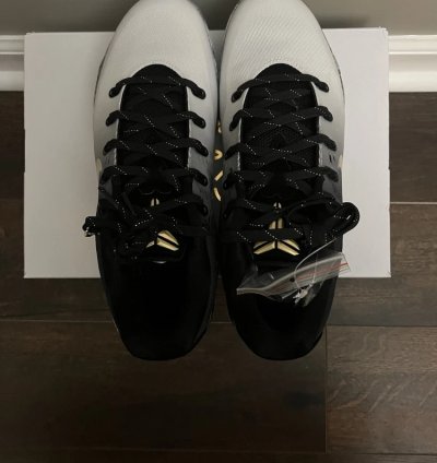 Nike Kobe 9 Em Low Protro Mambacita