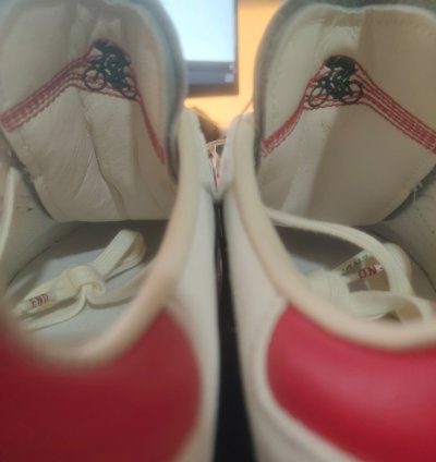 Adidas Velosamba End