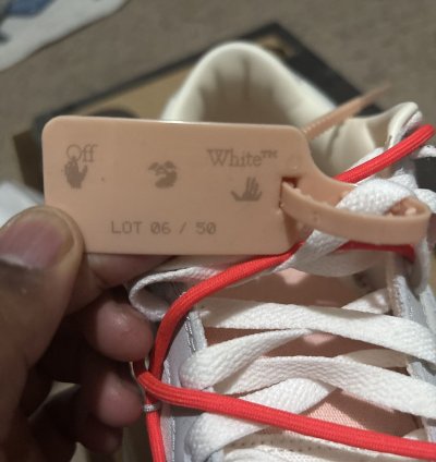 Off White Lot 6 Dunks