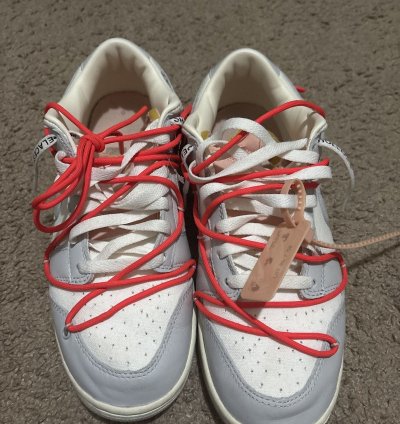 Off White Lot 6 Dunks