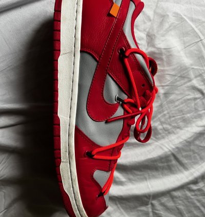 Off White Nike Dunks
