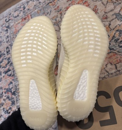 Adidas Yeezy 350 Cmpct Slate Bone
