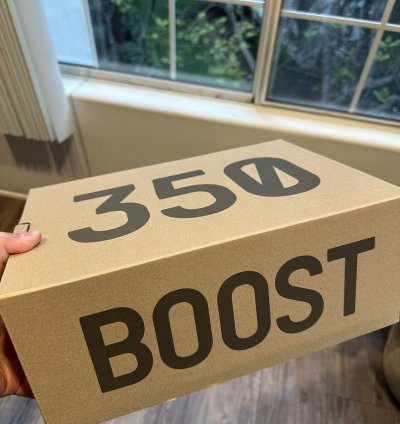 Adidas Yeezy 350 V2 Boost - Earth -