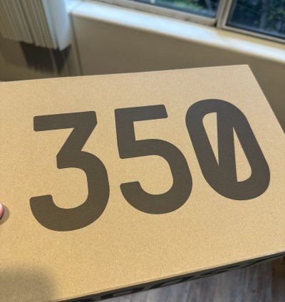 Adidas Yeezy 350 V2 Boost - Earth -