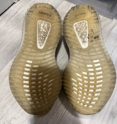 Adidas Yeezy 350 V2 Mono Ice