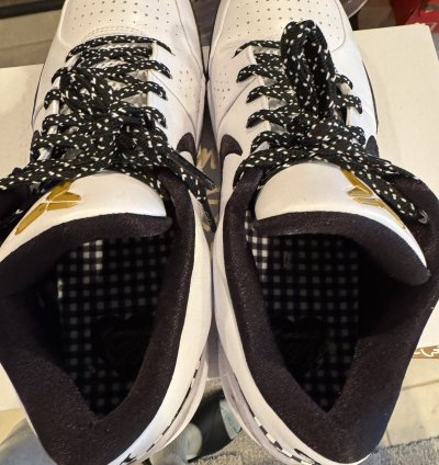 Nike Kobe 4 Protro Mambacita Gigi