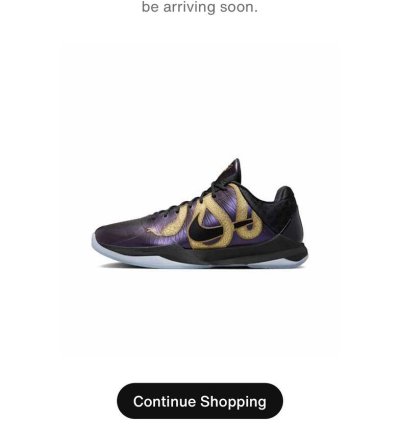 Nike Kobe 5 Proto Year Of The Mamba Eggplant
