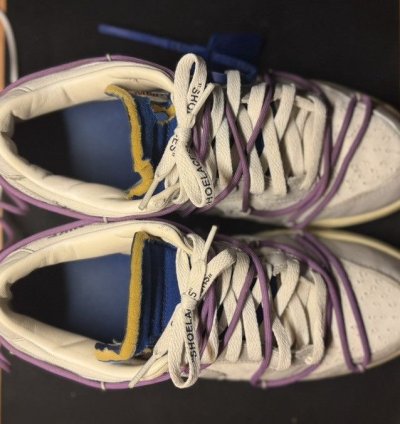 Off-white Nike Dunk Low Lot 48 Of 50