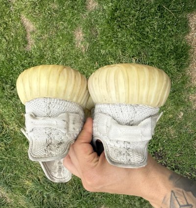 Adidas Yeezy Boost 350 V2 Bone Size 5 Men 6 Women