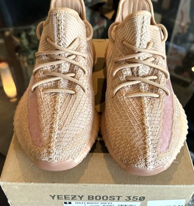 Adidas Yeezy Boost 350 V2 Clay Size 9 5 Eg7490
