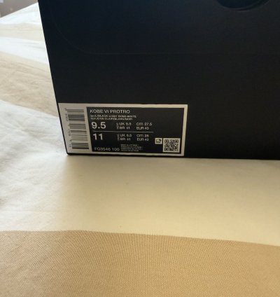 Nike Kobe 6 Protro Sail