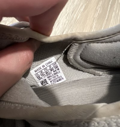 Adidas Yeezy Boost 350 V2 Low Sesame