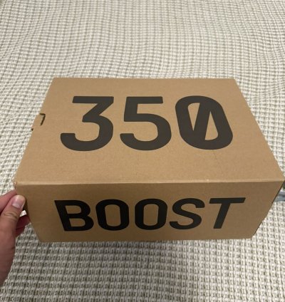 Adidas Yeezy Boost 350 V2 Salt