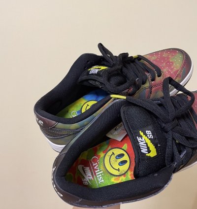 Rare Nike Dunk Civilist