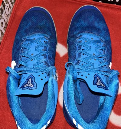 Nike Kobe 8 Blue Coral Snake Gs 555586-400 Size 5 5y