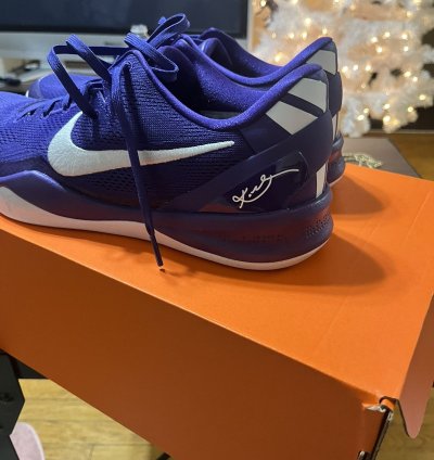 Nike Kobe 8 Proto Tb Purple Low Top