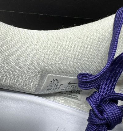 Nike Kobe 8 Protro Court Purple