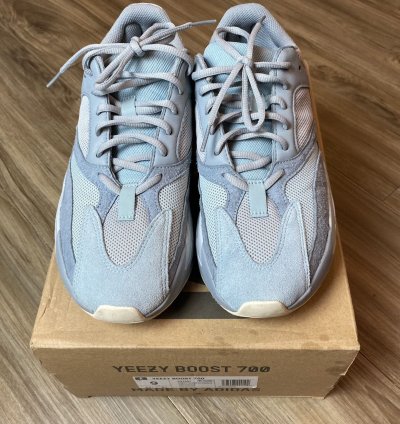 Adidas Yeezy Boost 700 Inertia