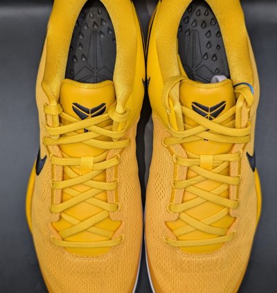 Nike Kobe 8 Protro Tb University Gold Pe unreleased