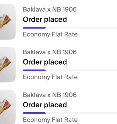 Rosewater Action Bronson New Balance 1906r New Size 9 5
