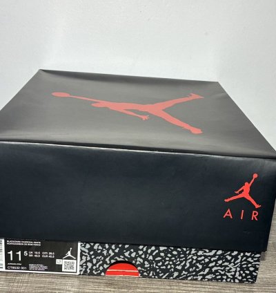 Size 11 5 - Air Jordan 3 Retro 2025 Black Cat