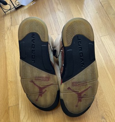 Supreme Air Jordan 5 Retro Desert Camo